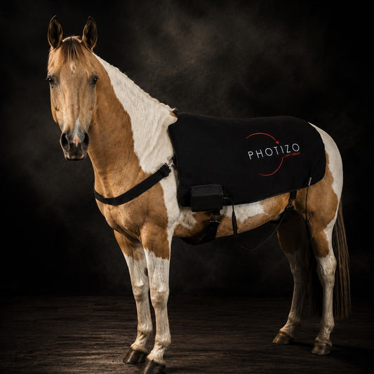 Photizo Red Light Blanket on a horse, square crop